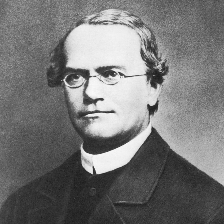 Gregor Mendel